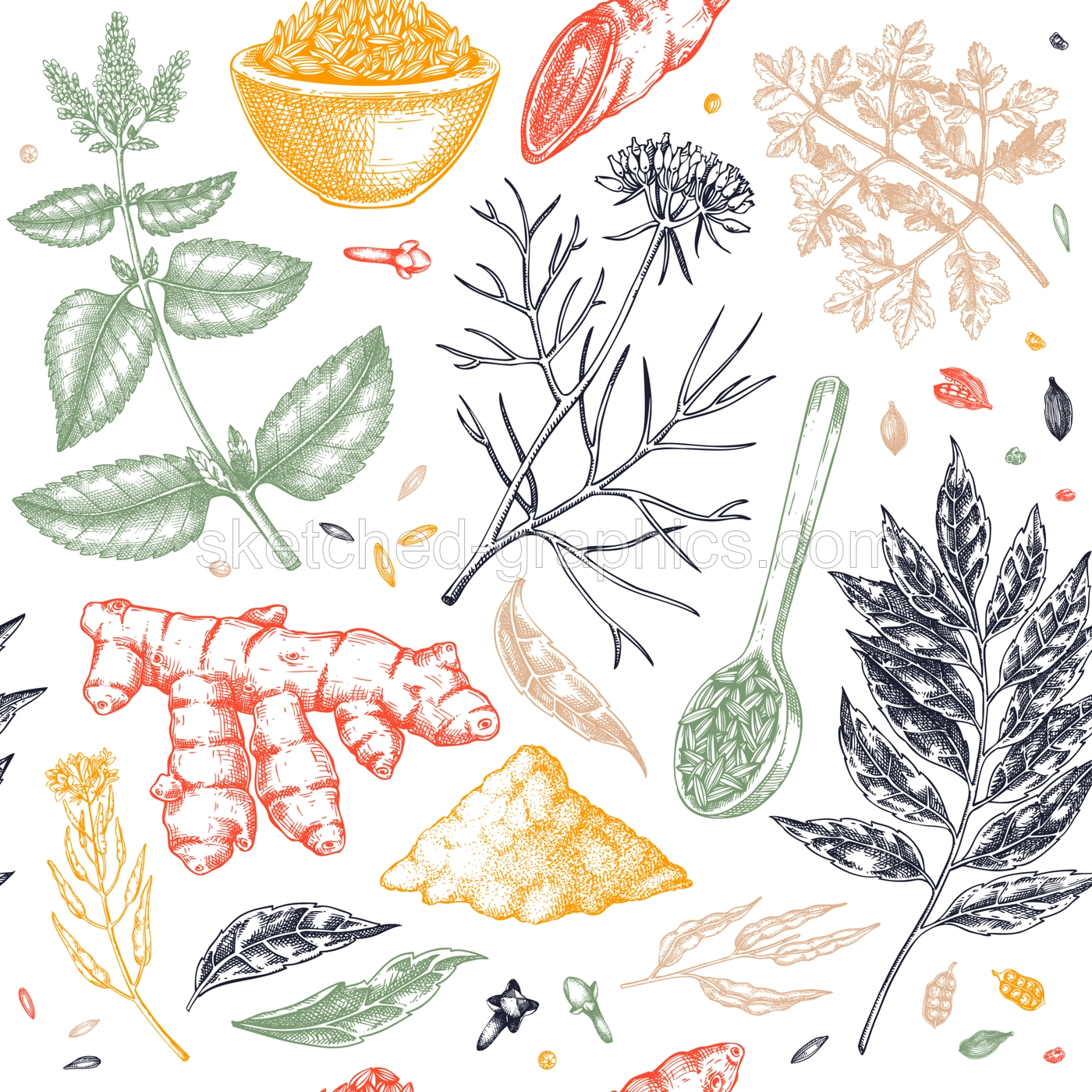 herb and spice seamless pattern. Indian food background. Curry, cumin, mustard, turmeric, coriander, cloves sketches. Kitchen spices hand-drawn vector illustration. NOT AI generated Illustration